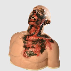 medical01